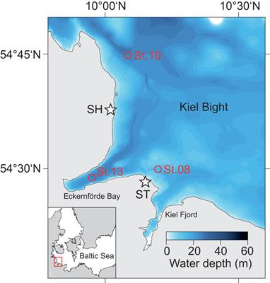 Benthic-pelagic coupling and isotopic fractionation of barium in Kiel Bight, SW Baltic Sea